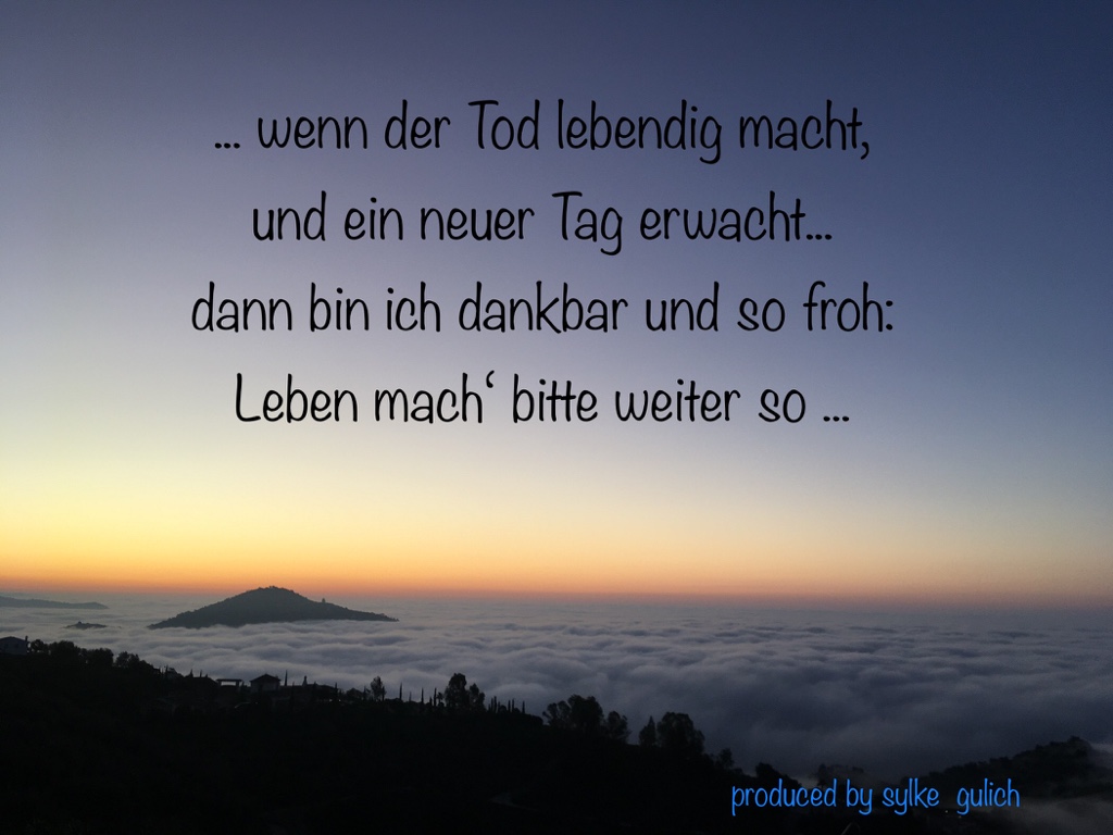 Sylke-Gulich-7367-dankbar-und-froh